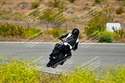 media/May-10-2024-2WTD (Fri) [[c88d7990af]]/Group C/Session 2-The Bowl/